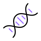 alternative description